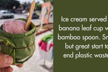 Who Needs Plastic Cups when You Can Serve Delicious Ice Cream in Banana Leaves