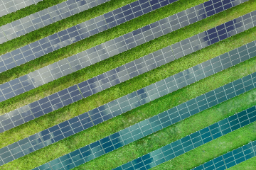 East England Farmers Now Grow Energy instead of Crops