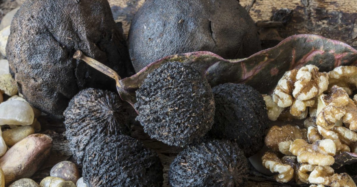 Black Walnuts Help in the Fight against Fungi, Parasites, and Heart Illness