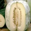 Winter Melon: Boosts the Digestion, Encourages Weight Loss & Boosts Antioxidants