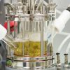 Carbios Is Changing the Recycling Game: Breaking Down Plastic Bottles Using Leaf Enzyme
