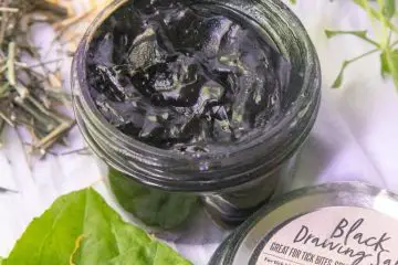 DIY Black Drawing Salve Perfect for Dealing with Bug Bites, Rashes & Itchy Skin