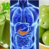 8 Healthy Foods that Your Pancreas Will Love