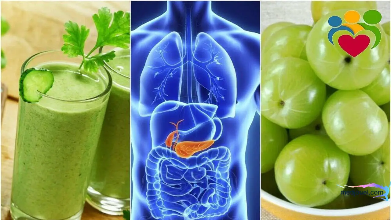 8 Healthy Foods that Your Pancreas Will Love