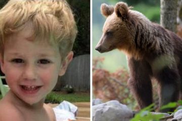 This Three-Year-Old Boy Survived Two Days in the Freezing Wilderness & Says a Bear Kept Him Warm