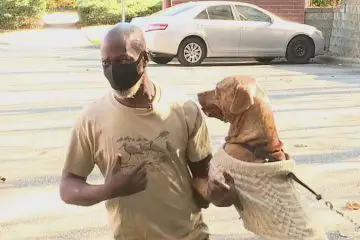 Touching Story: Homeless Man Chooses His Dog over Housing & the Much-Needed Surgery