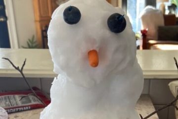 These Florida Kindergarten Kids Haven’t Seen Snow so their Teacher Has Her Sister Ship Them One
