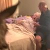 Watch a Daughter Surprise Her Bambi-Loving Dying Mom with a Visit from a Real-Life Deer