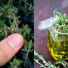 10 Wonderful Uses of Thyme that Go Beyond Sprinkling It on Your Chicken