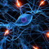 This Is the Gene May Help Prevent Parkinson’s, Claim Scientists