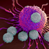 Scientists Develop an ‘Invisibility Cloak’ for Cancer Drugs