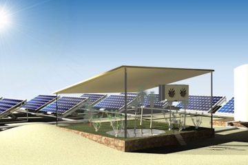Stunning Invention: These Solar Panels Can Pull in Water Vapor to Grow Crops in the Desert