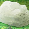 New Plant-Derived Sustainable ‘Plastic’ Found Tough as Bone & Hard as Aluminum