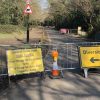 This Road in London Closes for almost a Month to Protect the Migrating Toads as they Hop to the Other Side