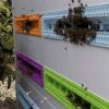 Company’s Innovative Beehive Gets Them $80 Million in Funding to Save Bees from Hazard