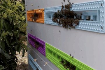 Company’s Innovative Beehive Gets Them $80 Million in Funding to Save Bees from Hazard