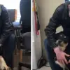 Homeless Teen Reunites with the Dog He Had to Give Up after Finding a Place to Live Together