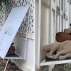 Thai Locals Are Building these Little Shelters for Stray Dogs