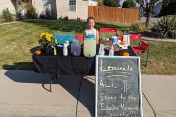 9-Year-Old’s Lemonade Stand Raises nearly $2000 for the Humane Society
