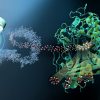 This Plastic-Eating Enzyme Could Eliminate Billions of Tons of Landfill Waste. Here Is How
