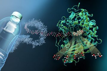 This Plastic-Eating Enzyme Could Eliminate Billions of Tons of Landfill Waste. Here Is How