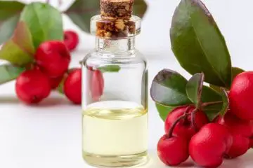 Wintergreen Oil Offers Amazing Health Benefits for the Immunity, Muscles, and Digestion