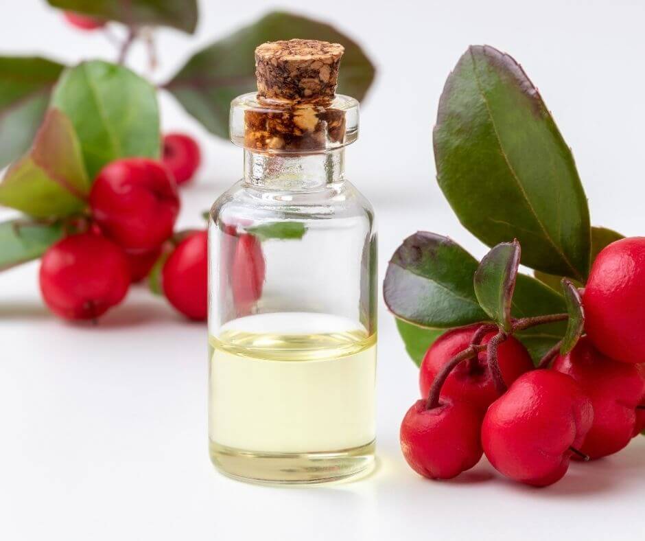 Wintergreen Oil Offers Amazing Health Benefits for the Immunity