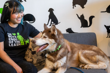 Utah Pets now Have a Safe Place to Stay If Their Owners Start Treatment for Alcohol or Drug Abuse