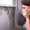 How to Detox the Body from Mold without Stressing the Kidneys & Liver