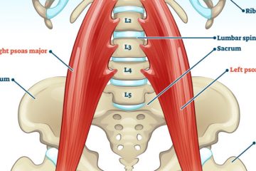 Psoas Muscle Pain Relief: 5 Ways to Heal the “Muscle of the Soul”