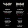 Four Surprising Things that Your Teeth Reveal About You