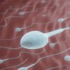 5 Common Things Men Do Every Day that Lower Their Sperm Count