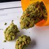 Doctors Explain the Best 8 Benefits of Medical Cannabis