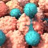 Researchers Find a Genetic Kill Switch Able to Destroy Cancer Cells without Chemo