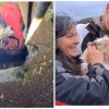 Dog in Cornwall Rescued after 26 Hours from a Mine Shaft in St. Ives