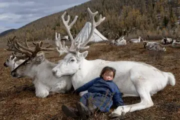 Photographer Captures Amazing Photos of a Lost Mongolian Tribe with a Reindeer Culture
