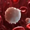 Elevated White Blood Cells: Causes & Treatments