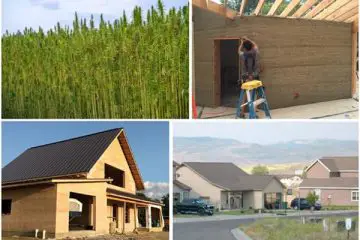 Hemp Company Buys 1000 Acres of Land to Create Affordable Home Community & Show Hemp’s Versatility