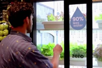 At This Cairo Supermarket, You Can Get the Freshest Veggies: They’re Grown Inside a Hydroponic Fridge Garden