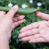 5 Top Natural Cures to Relieve Bites, Cuts, Rashes, Blisters, and Burns
