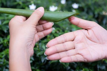 5 Top Natural Cures to Relieve Bites, Cuts, Rashes, Blisters, and Burns