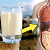 You’ve Been Lied to for Decades about Raw Milk & What It Really Does to Your Body