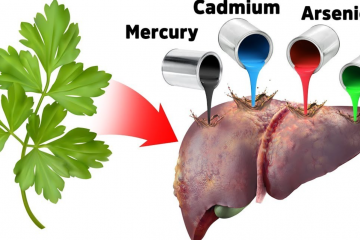 Dangers of Heavy Metals & How to Do a Heavy Metal Detox