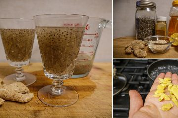 Herbal Tonic for Gut Repair