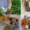 Homemade Natural Valium: Quality Sleep & Better Mood