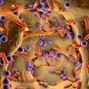 9 Empowering Ways to Tackle Autoimmune Diseases Head-On