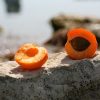 This Is Why You Should Keep Apricot Seeds