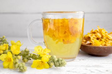Mullein: Health Benefits and How to Use It, Including as Tea