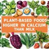 Plant Foods That Contain More Calcium Than Milk