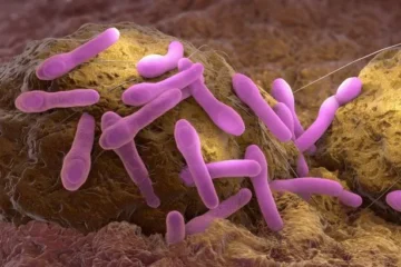 When Leftovers Turn Lethal: A Holistic Health Perspective on the Botulism Warning